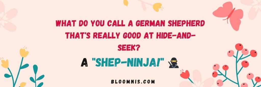 german-shepherd-jokes-for-kids