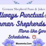 german-shepherd-puns