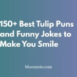 Best Tulip Puns and Funny Jokes to Make You Smile