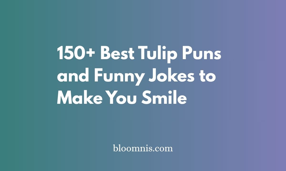 Best Tulip Puns and Funny Jokes to Make You Smile