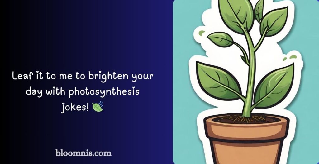 Clever Photosynthesis Jokes for Science Lovers
