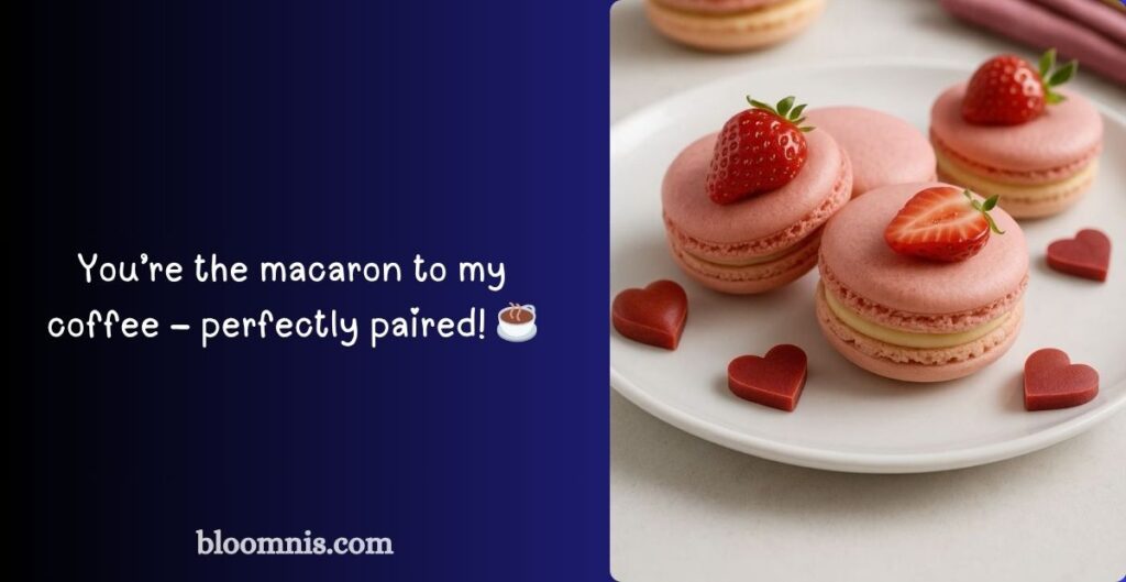 Funny Macaron Puns 