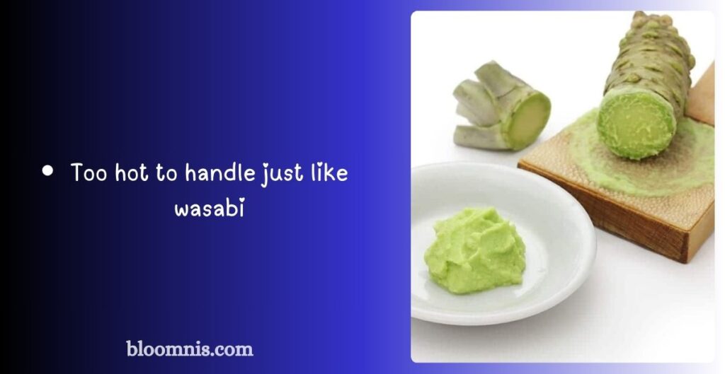 Funny Wasabi Jokes Compilation