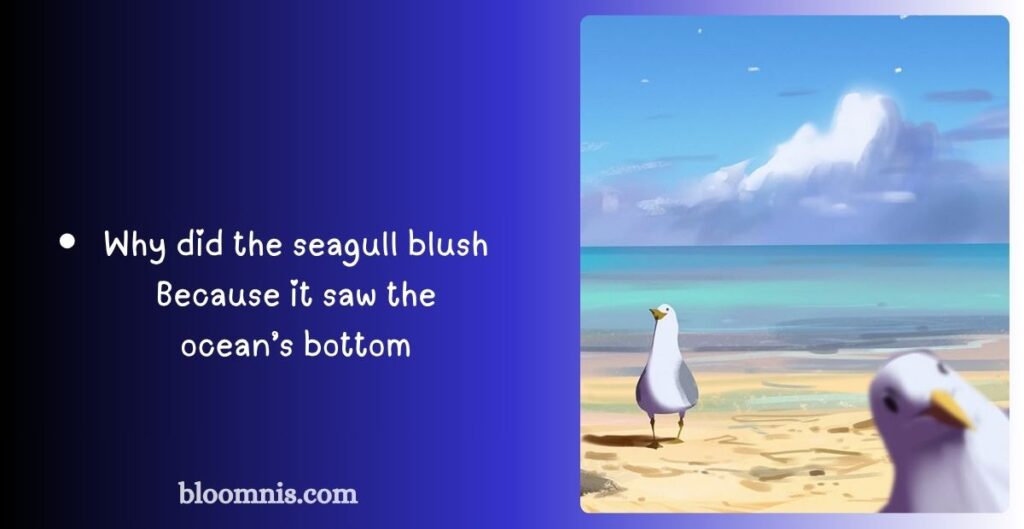 Best Clean Seagull Jokes