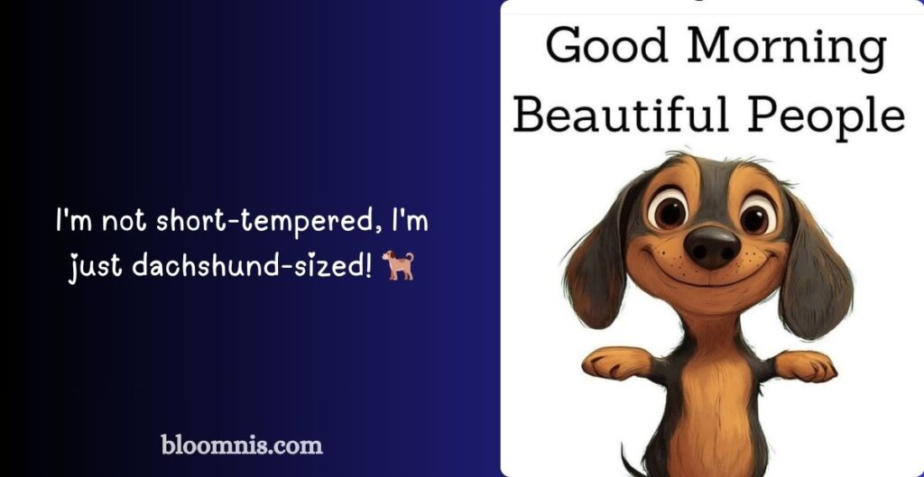 Funny Dachshund Wordplay and Humor