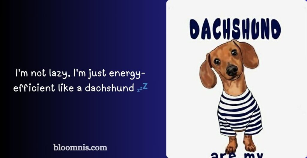 Jokes About Long Little Dogs