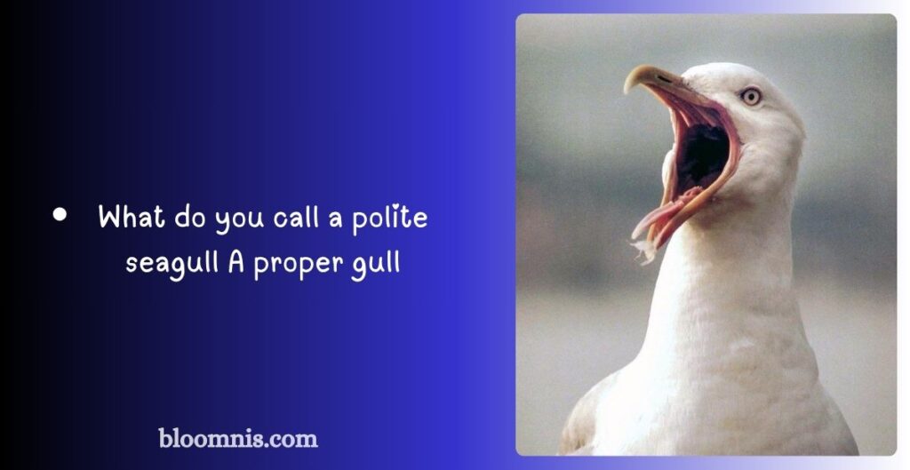 Short Seagull Puns for Kids