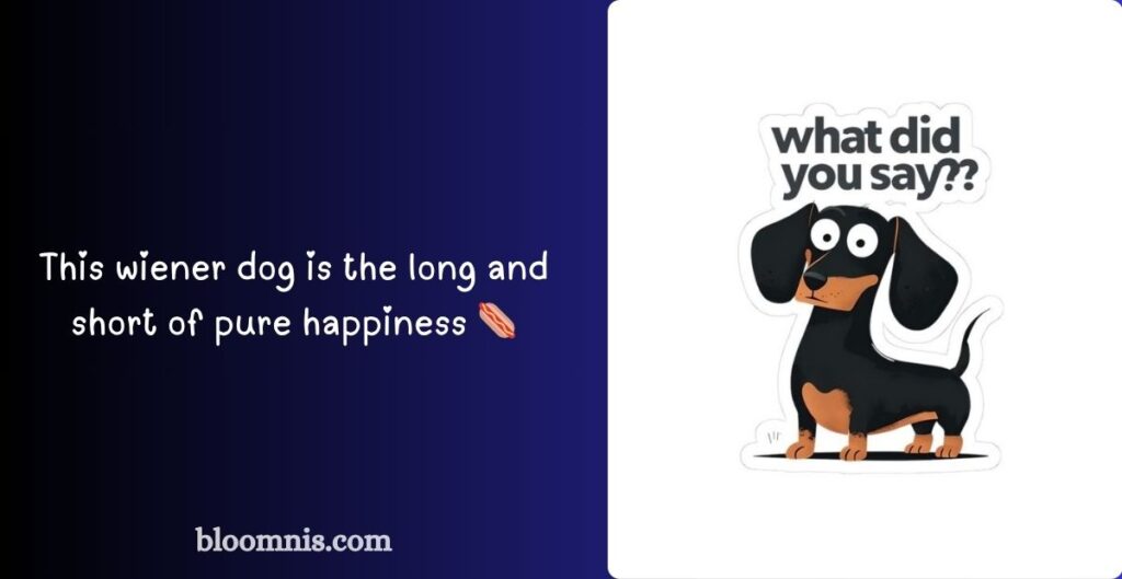 Clever Dog-Themed Pun Collection