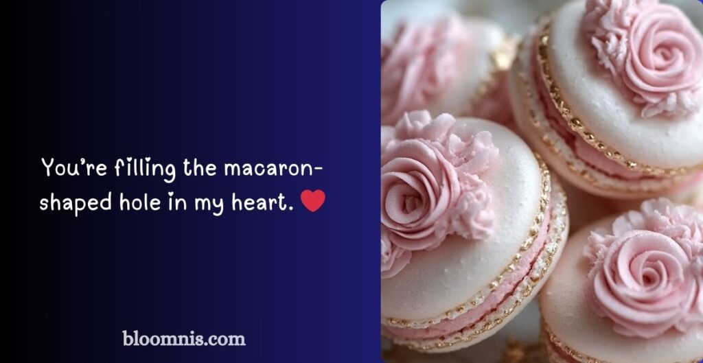 Short Macaron Puns And Jokes 