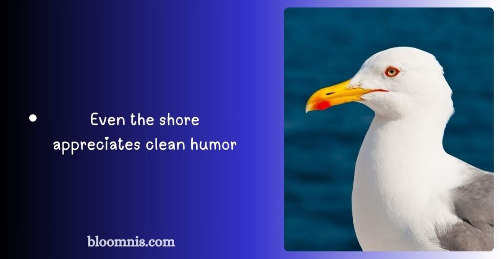 Seagull Jokes for Instagram