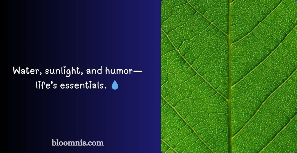 Photosynthesis One-Liners to Make Laugh