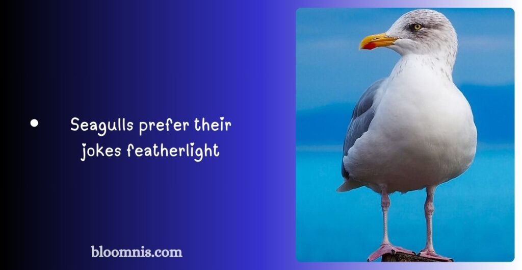 Silly Seagull Puns to Share