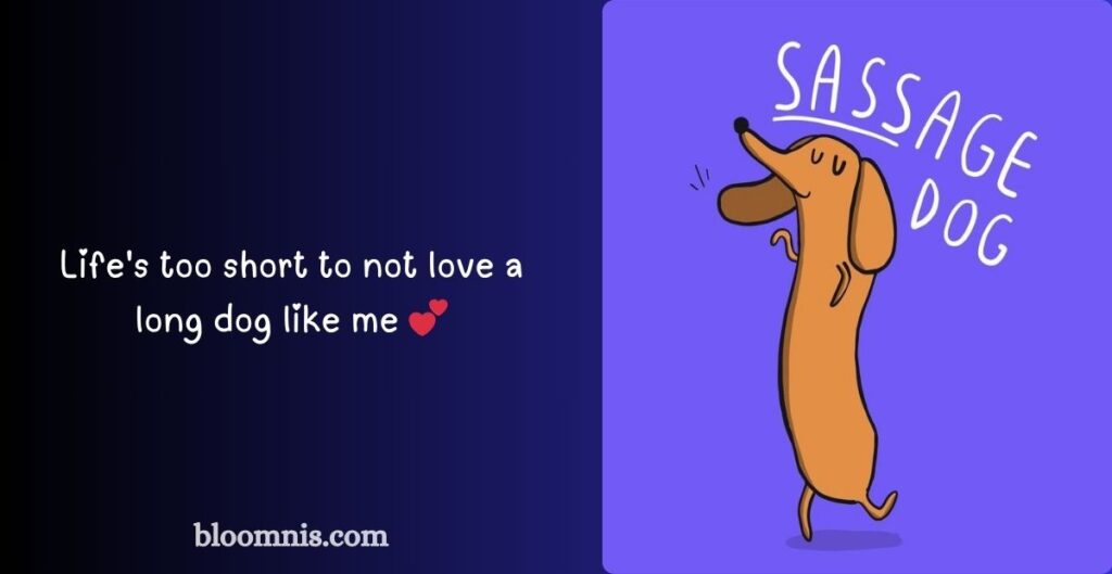 Laugh-Worthy Sausage Dog Puns
