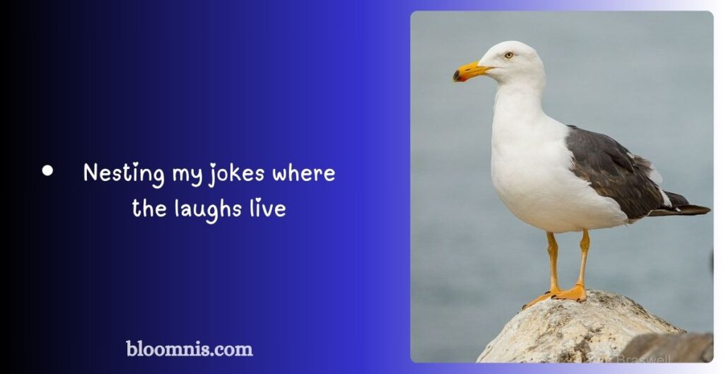 Seaside Puns with Seagulls