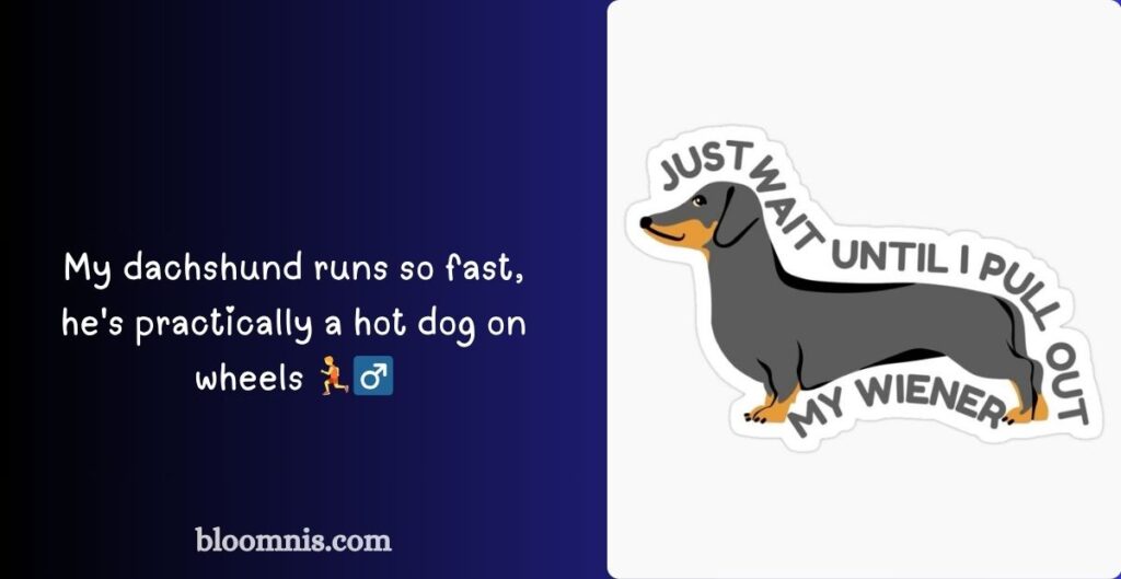 Paws-itively Funny Dachshund Quotes