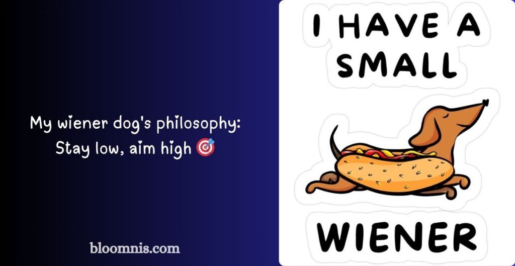 Daily Dachshund Joke Inspirations