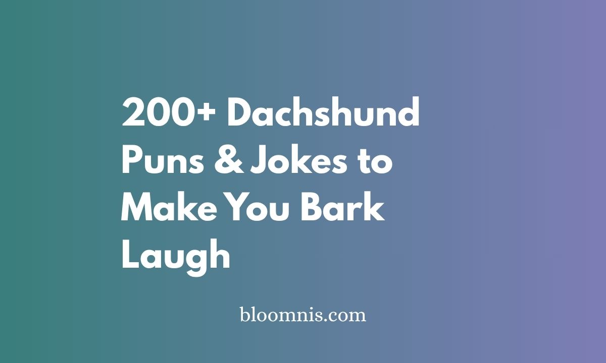 200+ Dachshund Puns & Jokes to Make You Bark Laugh