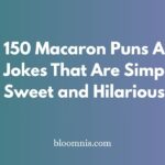 150 Macaron Puns And Jokes That Are Simply Sweet and Hilarious