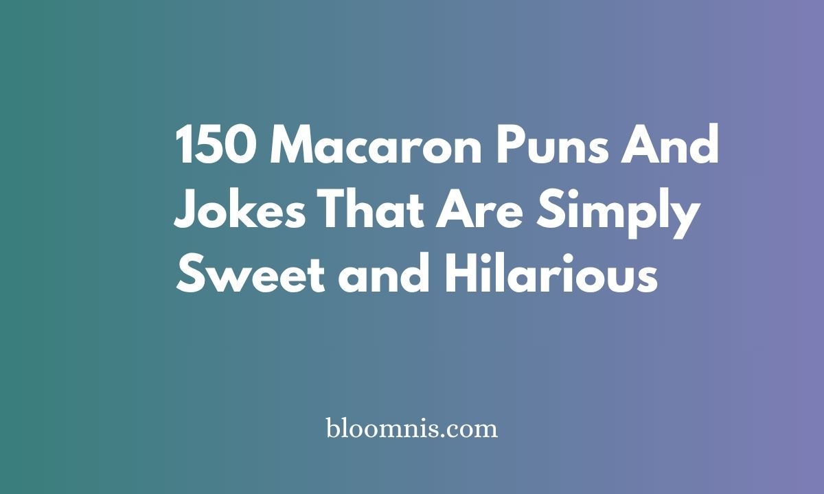 150 Macaron Puns And Jokes That Are Simply Sweet and Hilarious