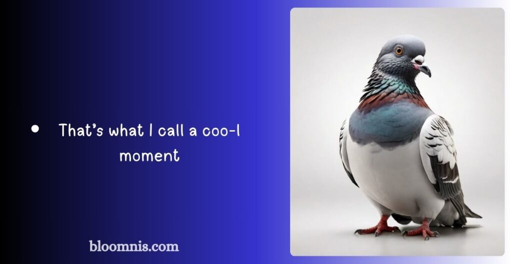 Romantic Pigeon Captions for Lovebirds
