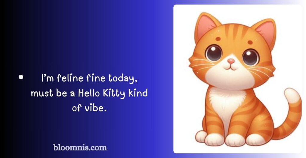 Cute Hello Kitty Captions for Instagram