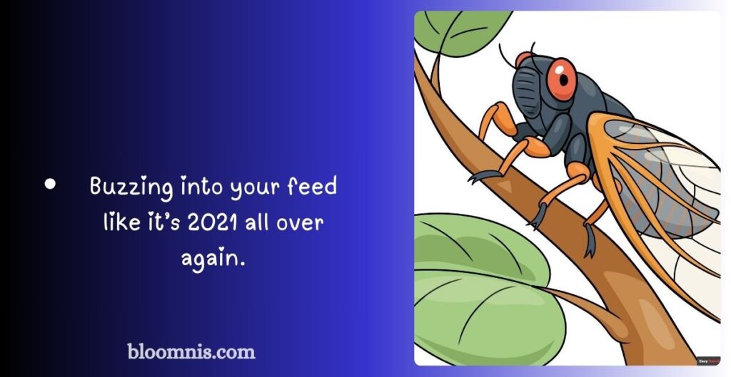 Romantic Cicada Puns for Couples