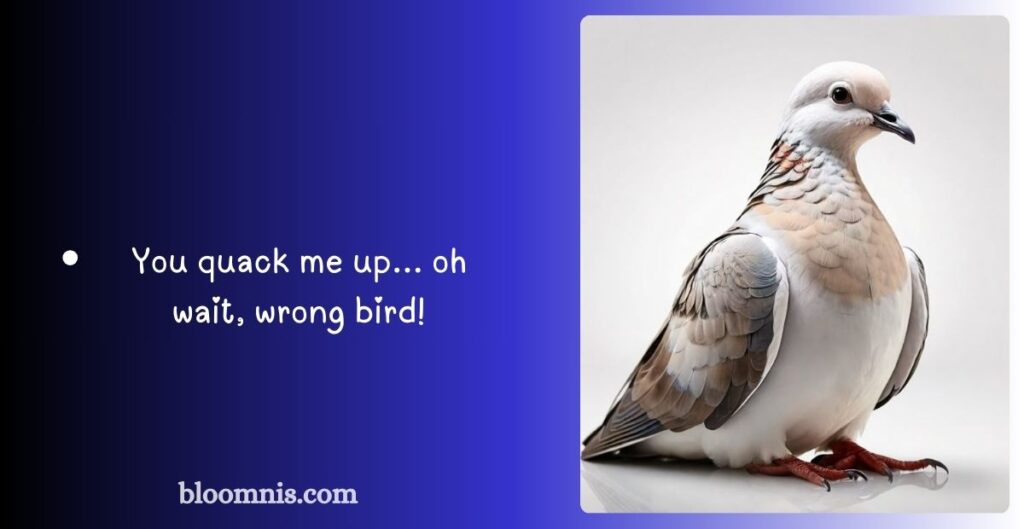 Social Media Pigeon Captions to Go Viral