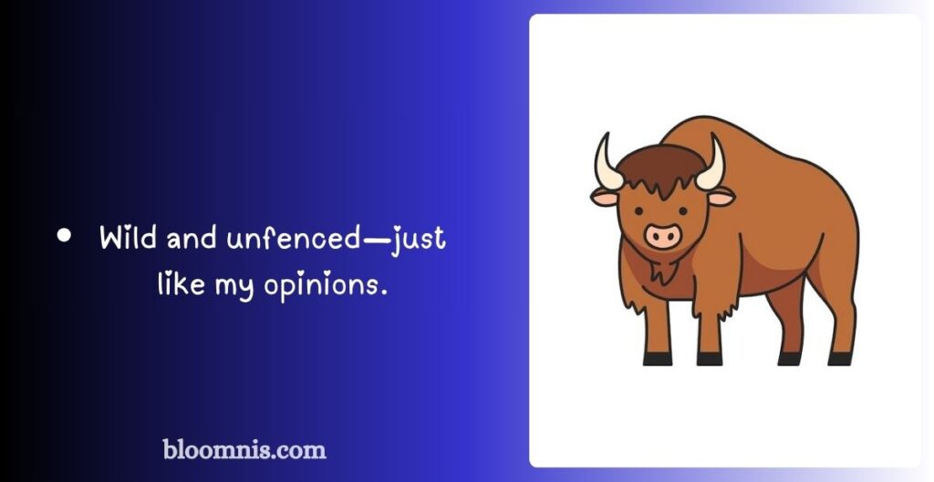 Bison Birthday Jokes & Captions