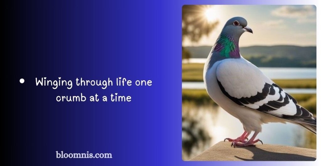 Best Pigeon Birthday Captions