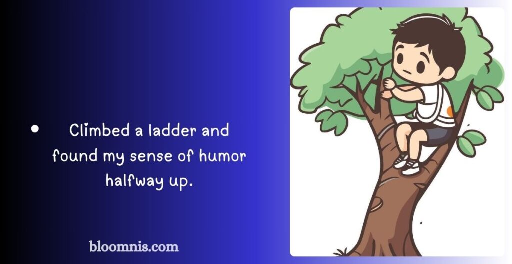 Sarcastic Ladder Humor