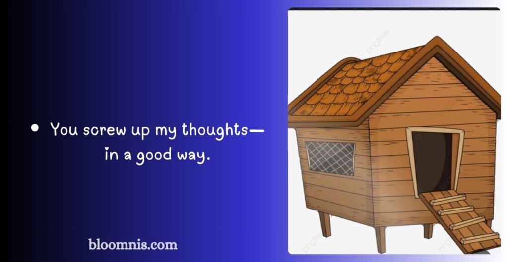 Clever Shed Wordplay Captions