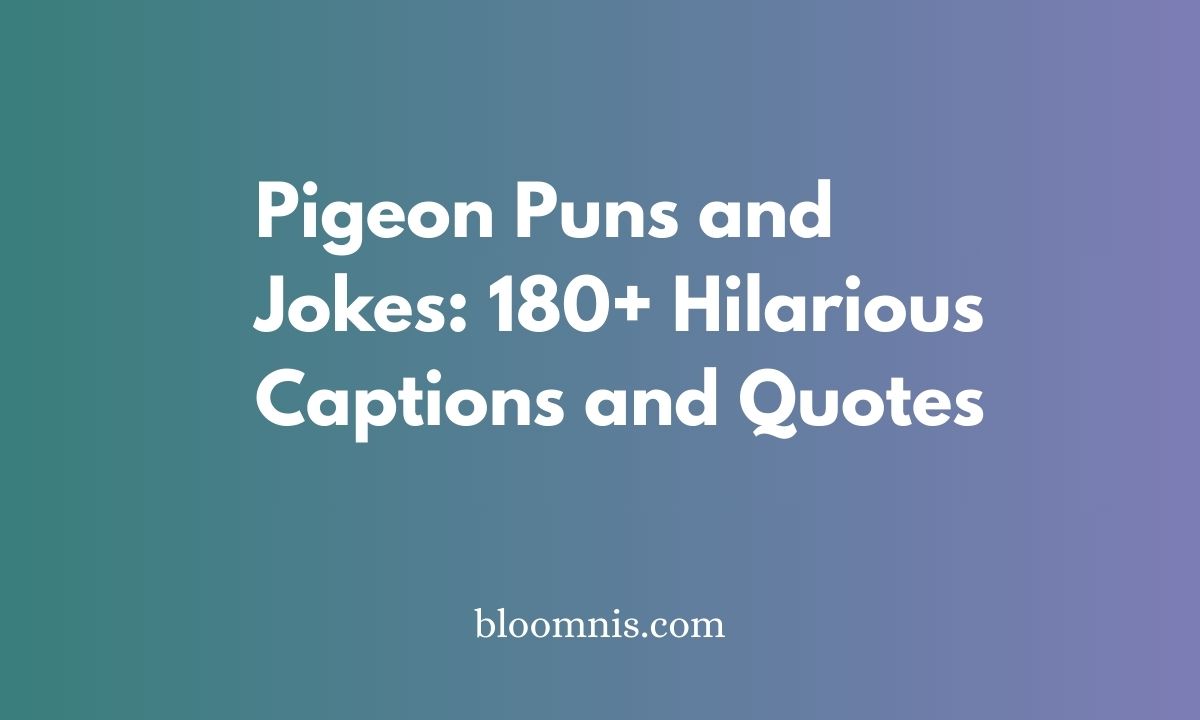 Pigeon Puns and Jokes: 180+ Hilarious Captions and Quotes