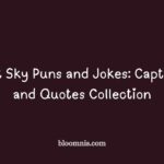 sky puns and jokes