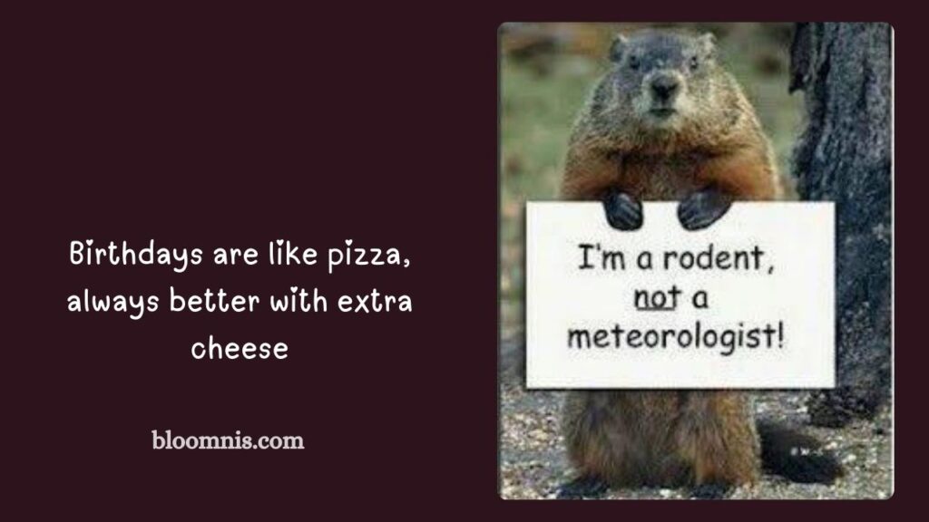 Groundhog Day Jokes