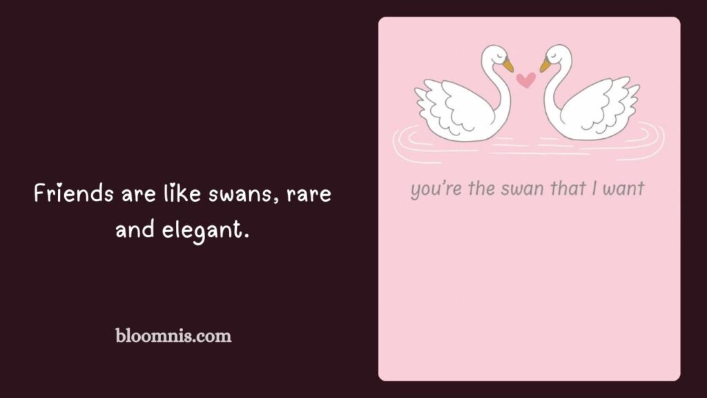 Witty Swan Quotes for Friends