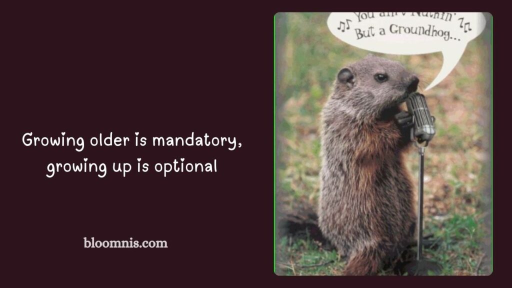 Groundhog Love Captions