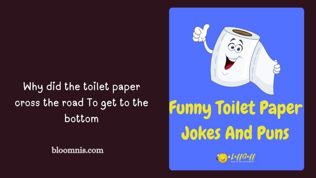 6. Sarcastic Toilet Paper Humor for Adults