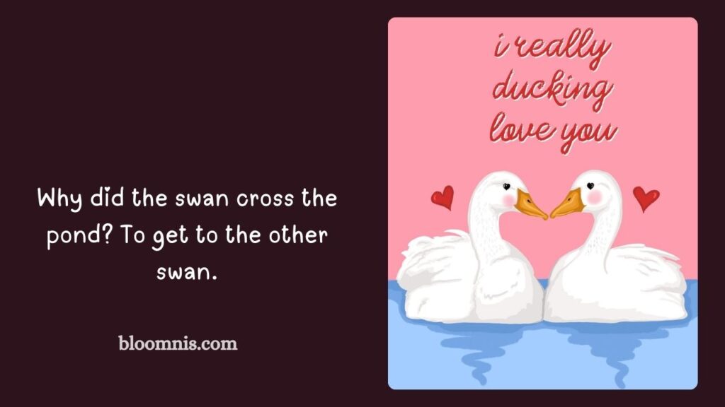 Funny Swan Jokes for Kids