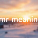 LMR Meaning: Definition, Usage & Examples Explained