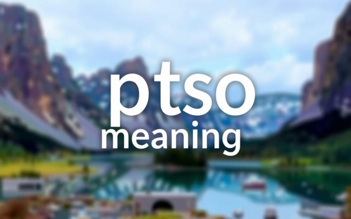 What Does PTSO Mean? Full Definition & Usage