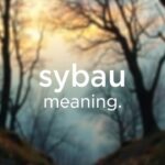 Sybau Meaning: What Does Sybau Stand For in Text?