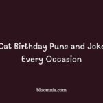 cat birthday puns and jokes