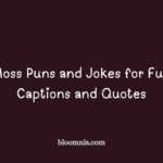 ferret puns and jokes