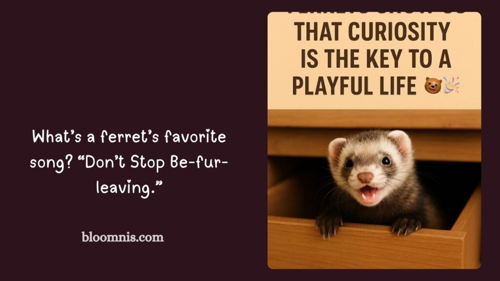 Ferret Captions for Instagram Posts