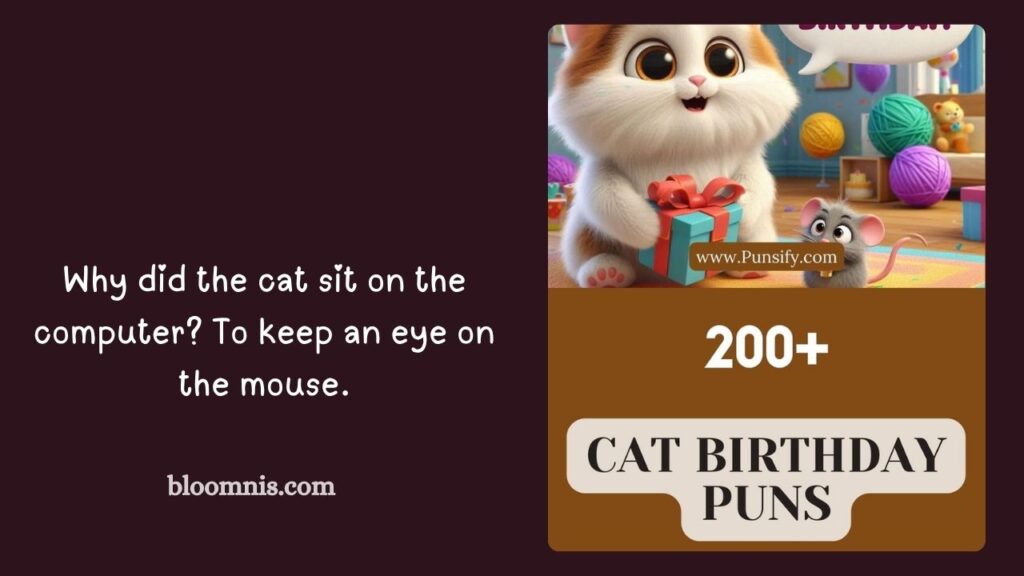 Cute Cat Birthday Captions