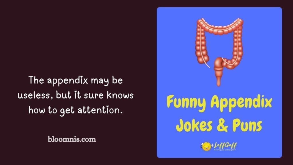 Appendix Surgery Humor