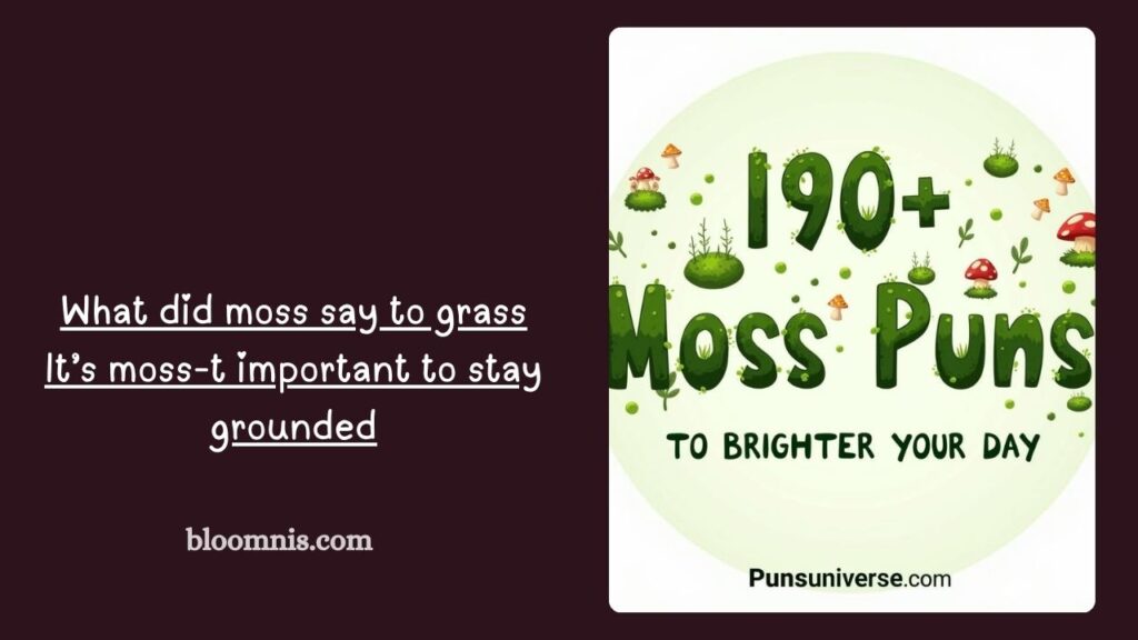 2. Clever Moss Wordplay