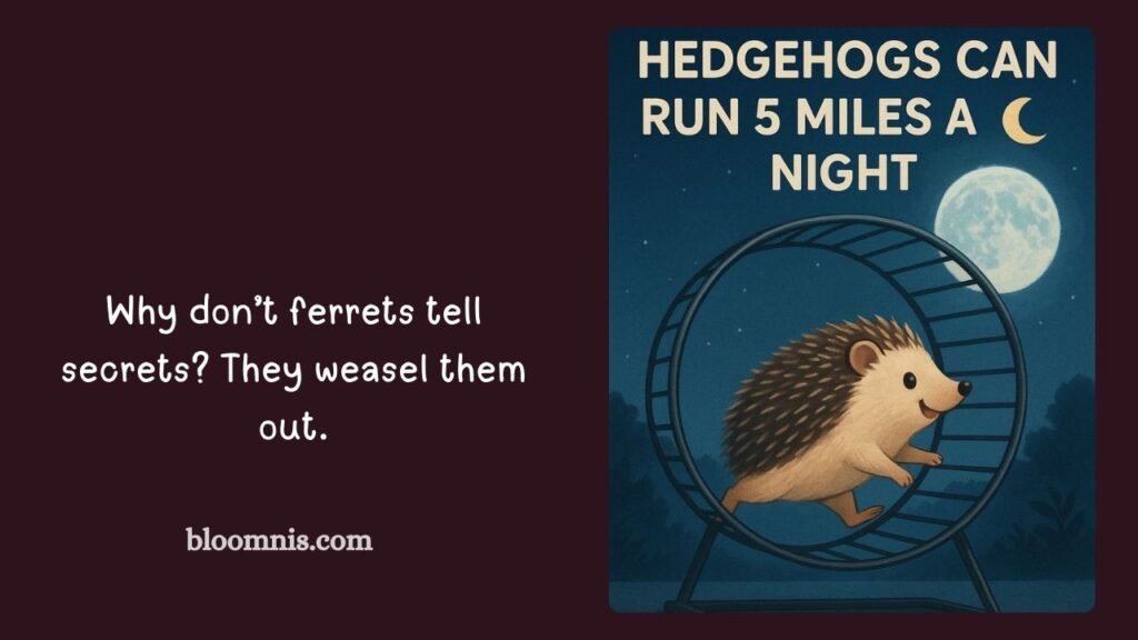 Ferret Friendship Quotes