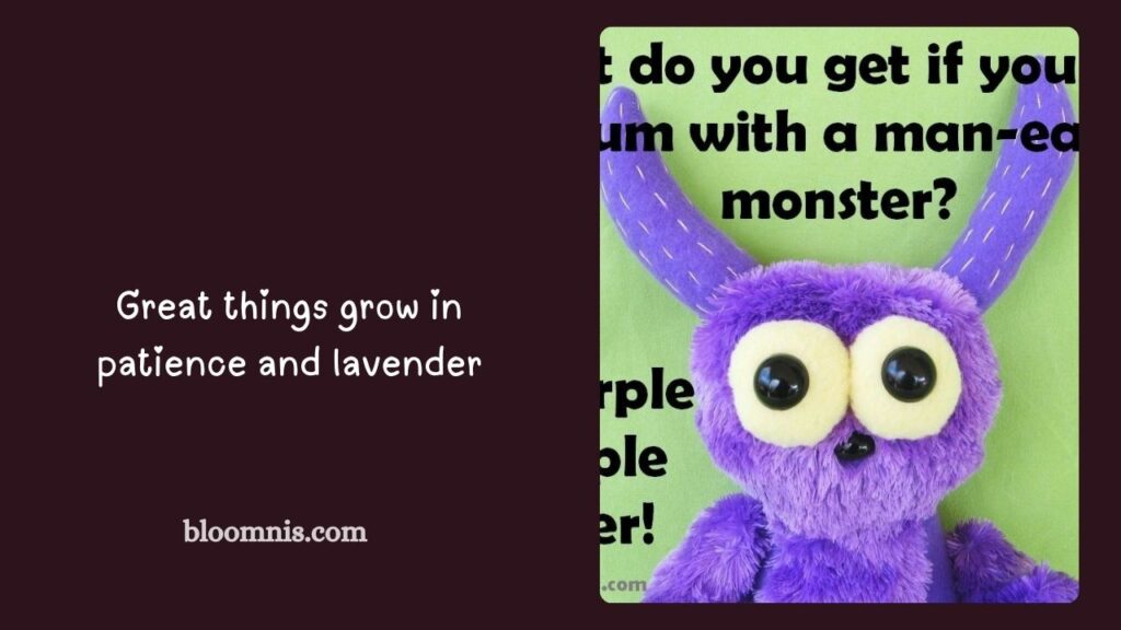 Short Purple Captions