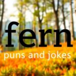 Best Fern Puns and Jokes for Captions and Quotes